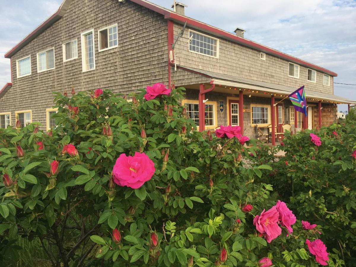 Auberge Cafe Acadien Bonaventure Dış mekan fotoğraf