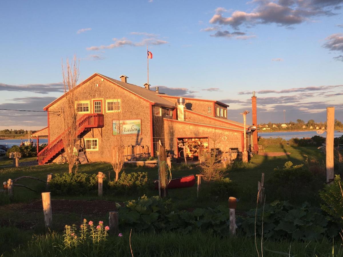 Auberge Cafe Acadien Bonaventure Dış mekan fotoğraf